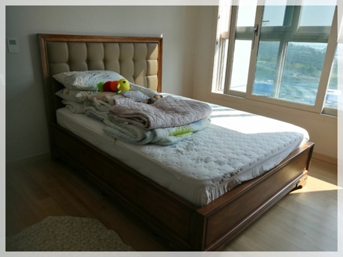 가족사랑이사 PC 이미지 3696701